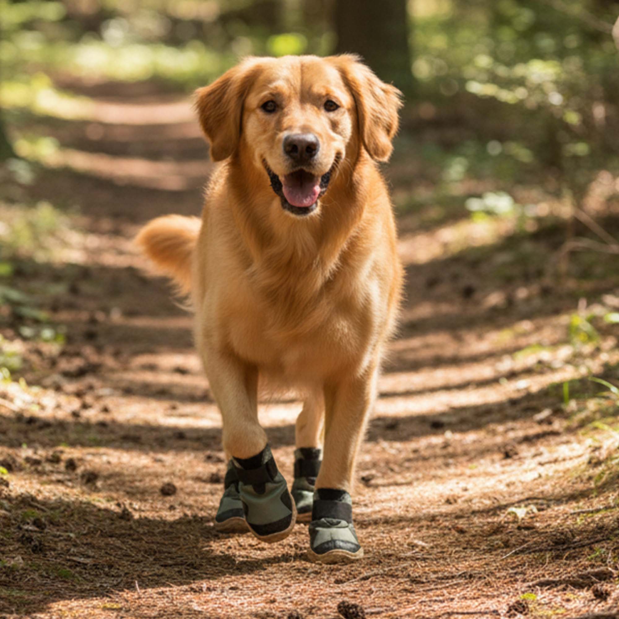Su Geçirmez Deri Köpek Ayakkabısı – Cırt Cırtlı Ayarlanabilir Kaymaz Taban Bot, Su Yeşili Köpek Ayakkabısı