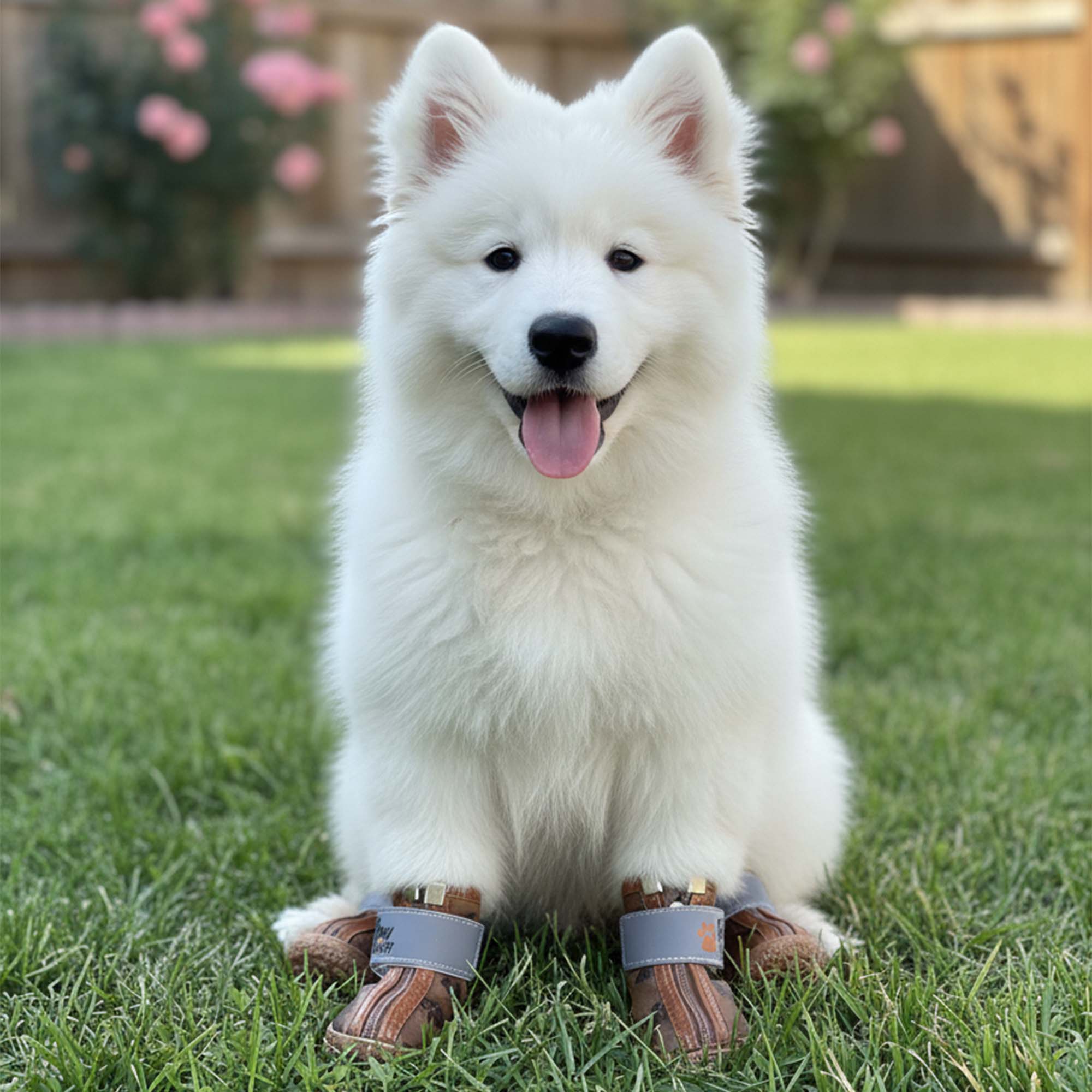 Kışlık Su Geçirmez Köpek Ayakkabısı, Deri Köpek Botu, Kauçuk Taban Köpek Ayakkabısı, Kahverengi Köpek Ayakkabısı